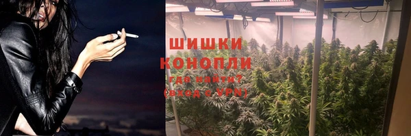 spice Богородицк