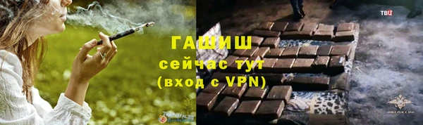 spice Богородицк