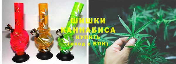 spice Богородицк