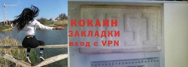 spice Богородицк