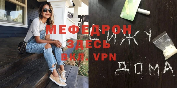 spice Богородицк