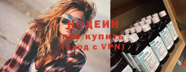spice Богородицк