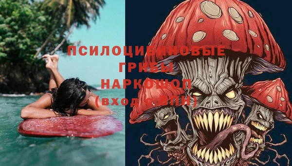 spice Богородицк
