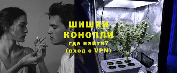 spice Богородицк